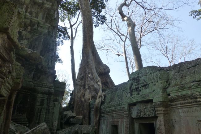 Камбоџа Ден 3: обиколка на мал храм