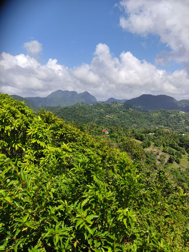 Castries Market and Tet Paul Nature Trail