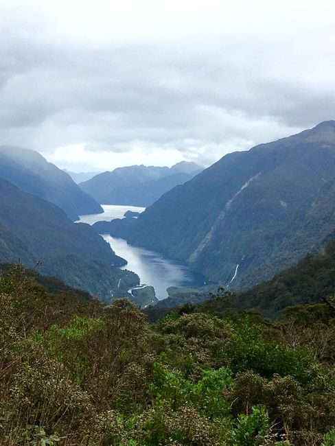 Only on the return journey with a view: Doubtful Sound from Wilmot Pass