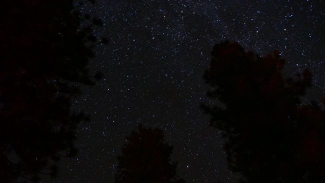 Yosemite National Park - Night Sky