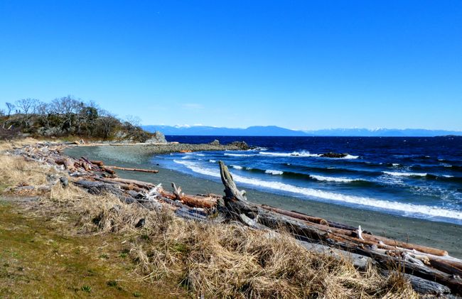 a winter on Vancouver Island & changing plans