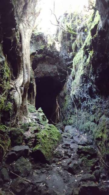 Entrance to the lava cave