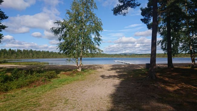 Hudiksvall and lots of forest