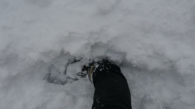 Taman Villarrica Negara -kekacauan salji
