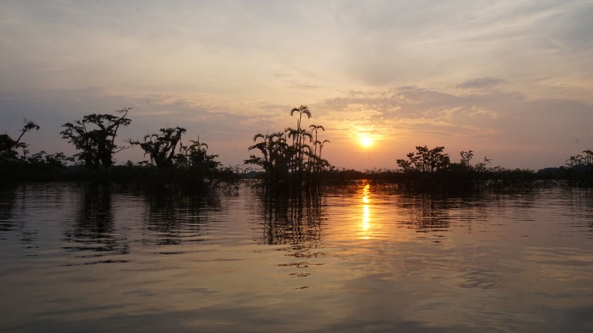 Sunset over the Cuyabeno lagoon