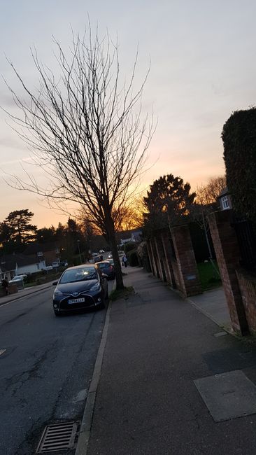 Sunset on our street