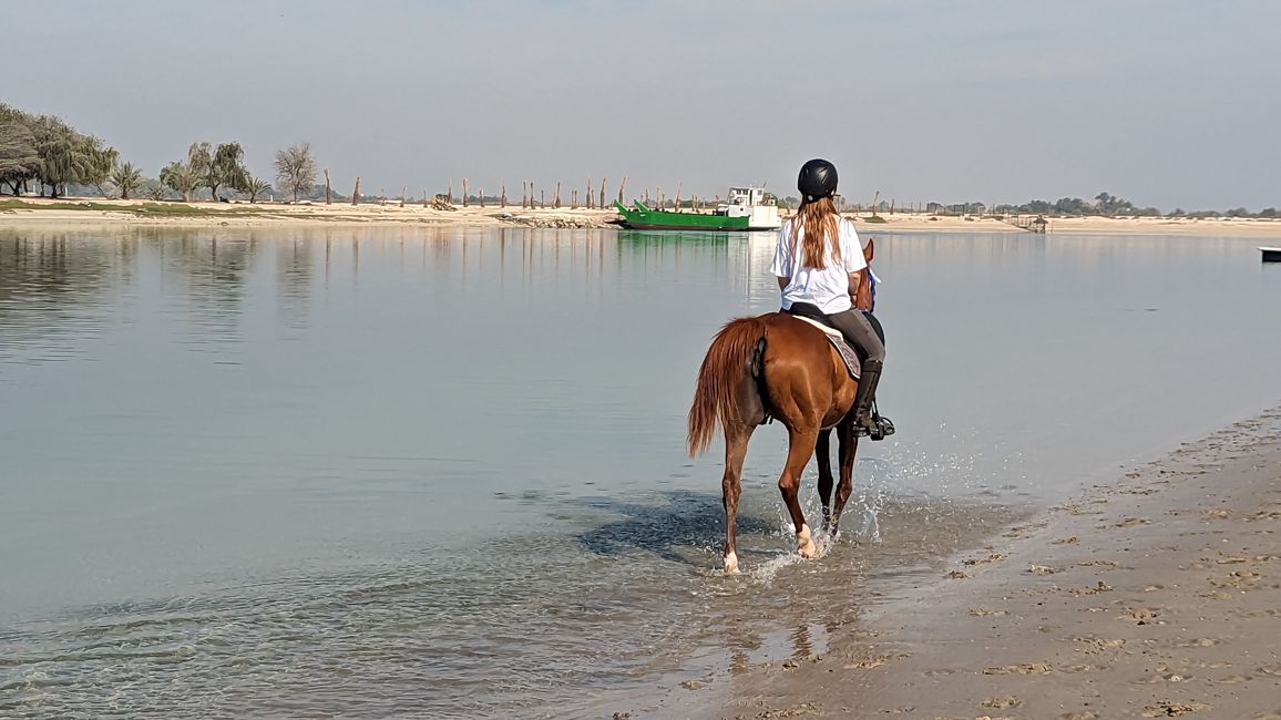 Tag 15 (2023) Abu Dhabi: Ausritt am Strand, Baden am Soul Beach & IFTAR im "W"
