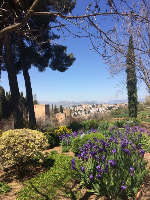 6 days in Granada