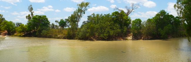 Kakadu Nationalpark – Krokodile, Kängurus und Kakadus in freier Wildbahn (Australien Teil 6)