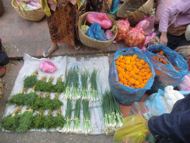 Oh du schönes Luang Prabang