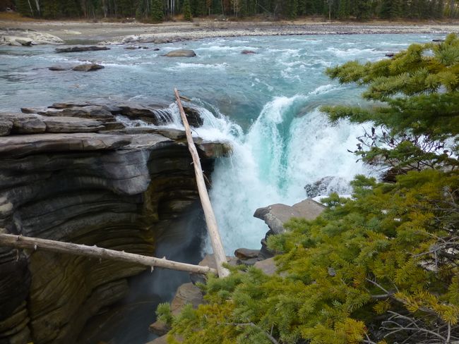 Athabasca Falls (?)
