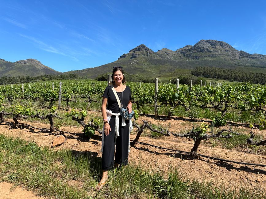 Stellenbosch 