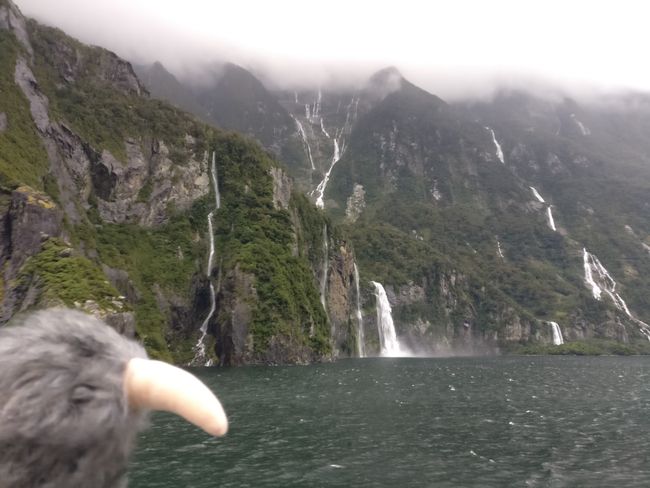 Day 16 - Sounds of the Fjords: Milford Sound