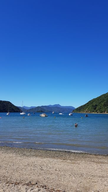 Thirteenth and Fourteenth Stop: Kaikoura and Picton