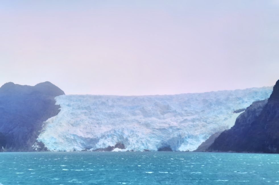 Observación de ballenas en el Estrecho de Magallanes