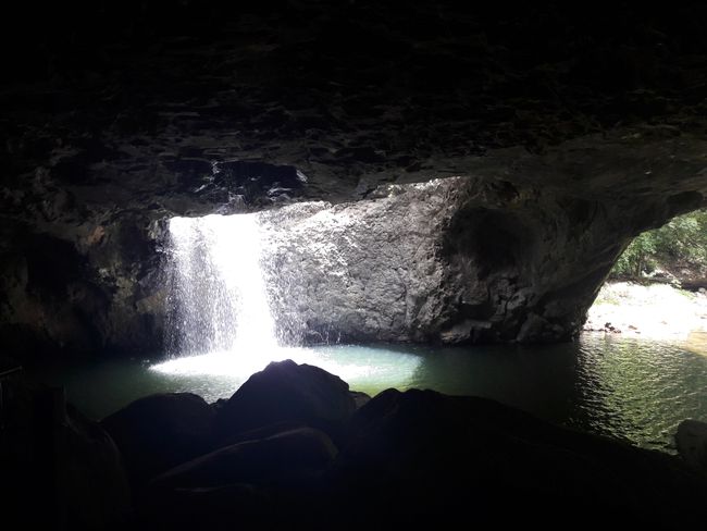 Natural Bridge/ Glowworm Caves