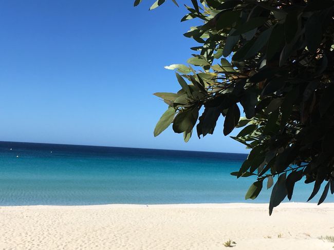 Ein Strand wie in der Karibik