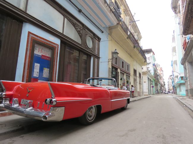 Viva Cuba - Havana