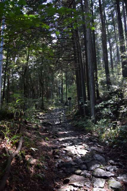 Old Tokaido - Hiking