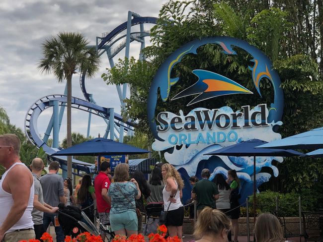 Day 8 | 25 March 2019 | Orlando / SeaWorld