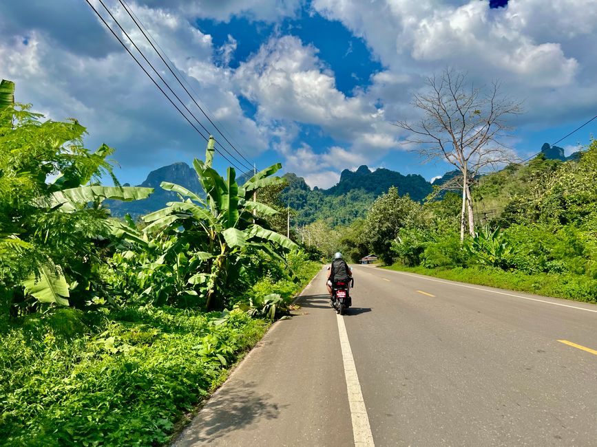 Tag 325 - Another change of accommodation @ Phu Siab Mhok@KhaoSok