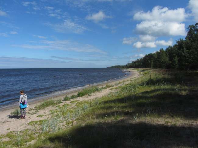 Lahemaa National Park - Estonian Baltic Sea