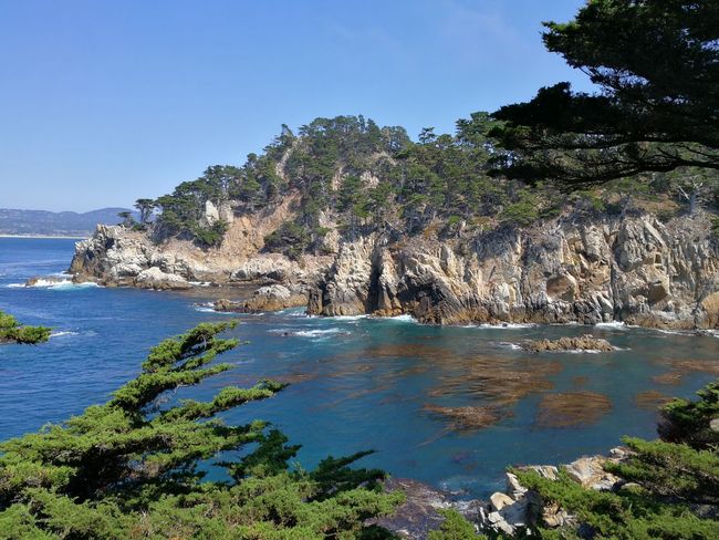 Point Lobos, Carmel by the sea