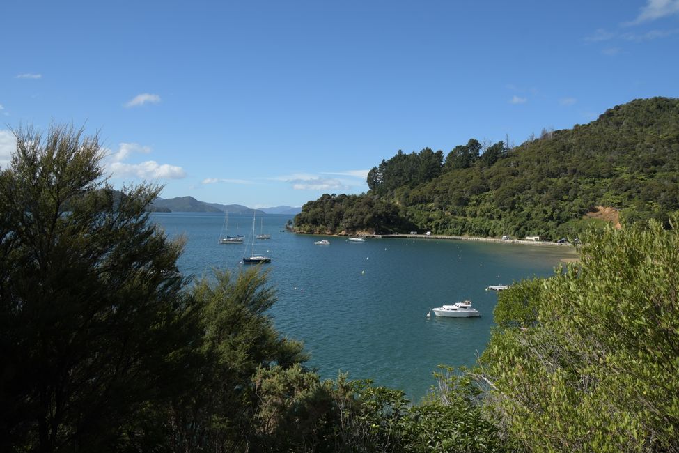 On the Queen Charlotte Drive