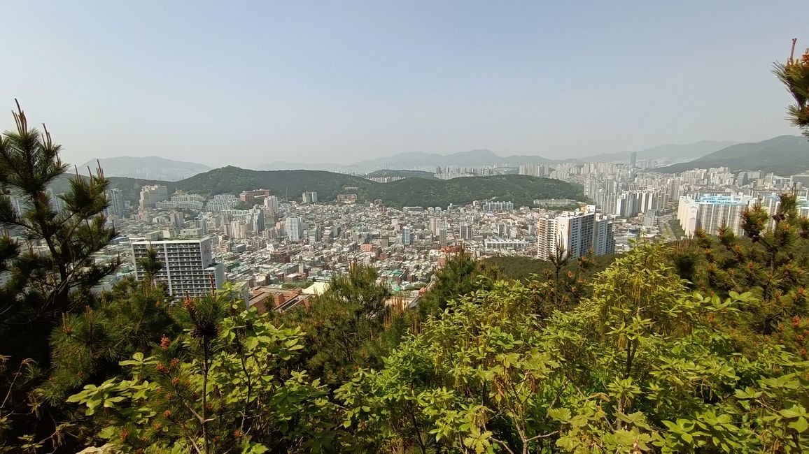 Busan - Escape into the Green