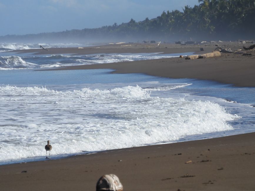 Tortuguero - My absolute favorite place on the Caribbean coast