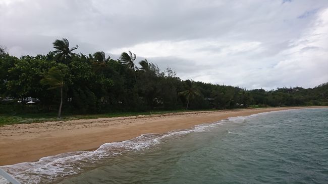 Strong wind at the beach of Picnic Bay