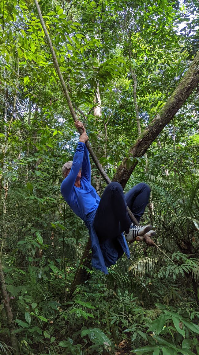 2. Día en la selva amazónica