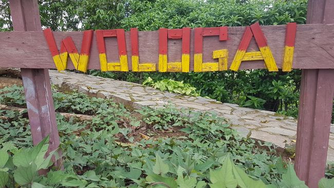 The Wologai village. 