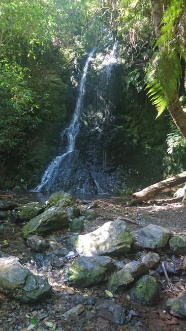 Waterfall in Pelorus Scenic Reserve 