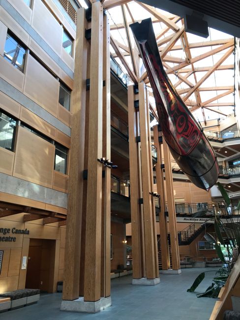 Struttura in legno nel Forest Building