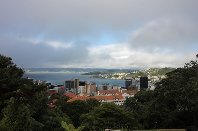 Wellington vom Aussichtsplateau aus.