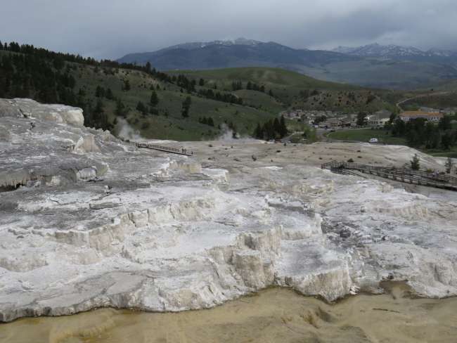 Tag 8: Yellowstone NP, Canyon, Mammoth Hot Springs, Lamar Valley na Grizzly