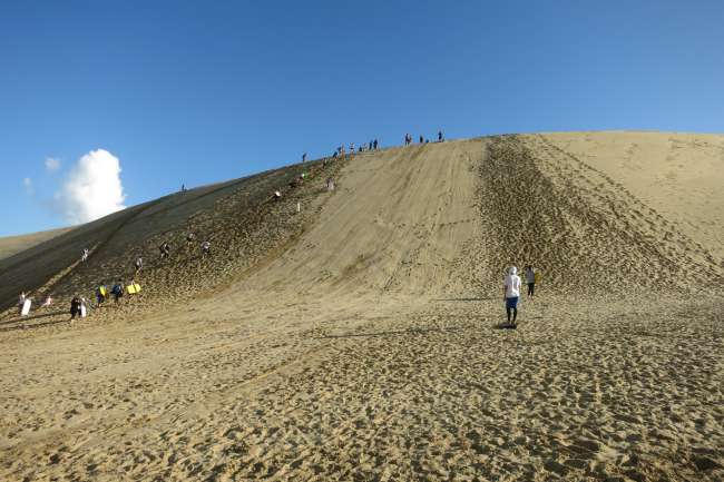 Te Paki - Giant Sand Dunes