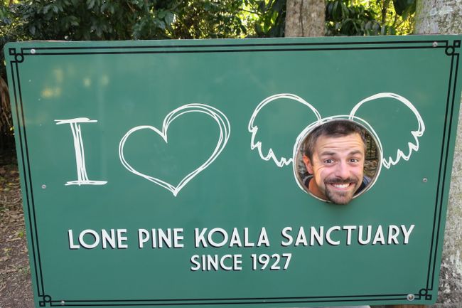 13.05. Koala Sanctuary 🇦🇺