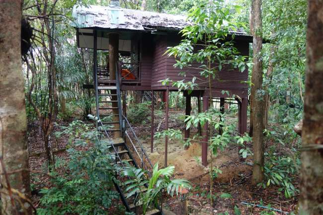 Our little treehouse in Khao Sok National Park