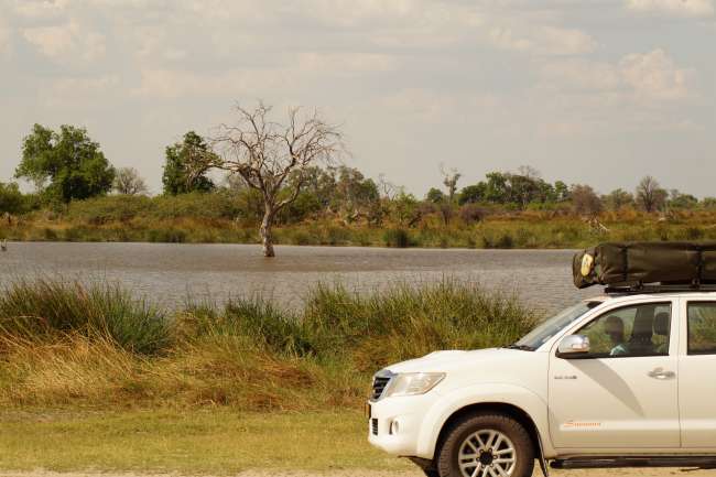 Das Okavangodelta