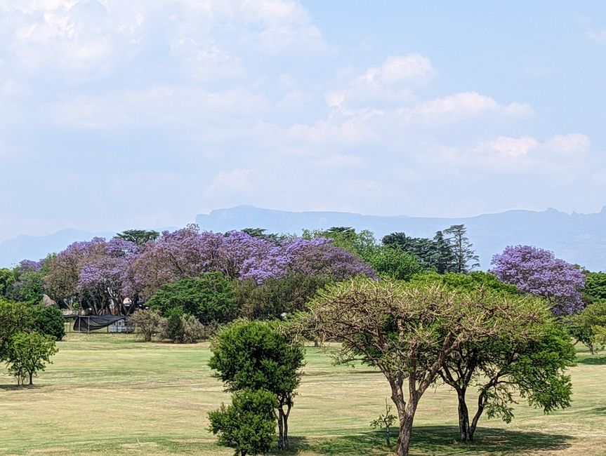 Royal Natal Drakensberg Park