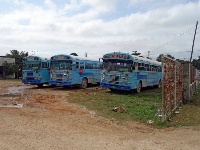 These old buses run to Sarteneja every day: a one-and-a-half-hour hell ride to the end of the world.