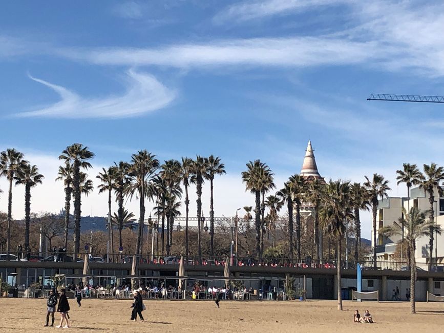 Sonne pur am Strand von Barcelona