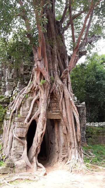 The Temples of Angkor in Cambodia