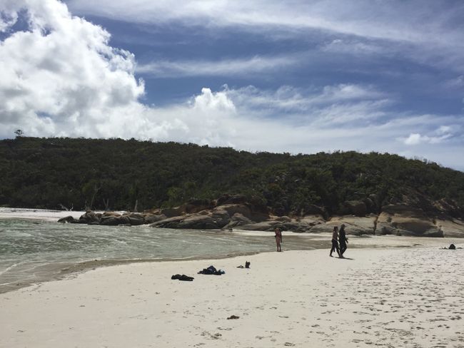Cairns bis Brisbane - man ist das hübsch!