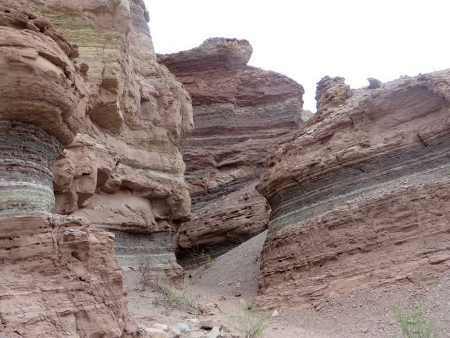 Salta, Cafayate und die Regenbogenfelsen