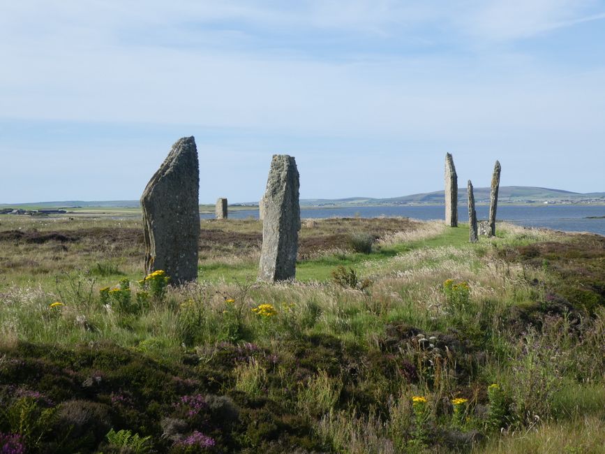Kirkwall, Orkneyinseln - Hauptstadt, Steinkreise und Steinzeitdorf Skara Brae (mit der AIDAaura nach Grönland und Island 14)