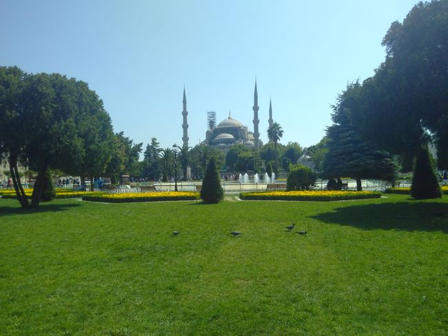 Istanbul blaue Moschee 
