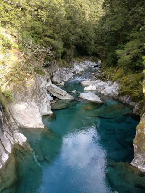 Blue Pools in Wanaka. The color comes from the glacier water